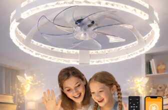 50%  Low Profile 20 Inch Ceiling Fan with Lights and Remote