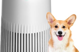 Air Purifiers for Bedroom Home