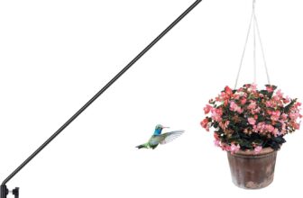 50% OFF Deck Bird Feeder