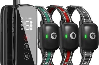 50% off Dog Training Collar