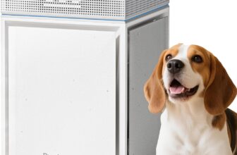 72% OFF Air Purifiers for Smoke Large Room