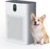 71% off Air Purifiers