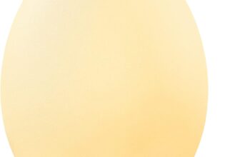 50% off Egg Night Light