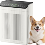 Air Purifier for Large Room 2200sq.ft